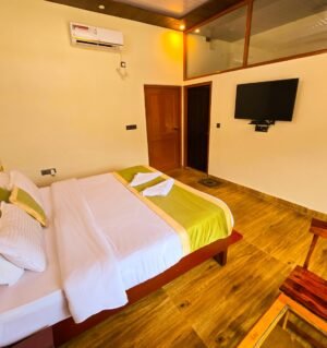 Luxury Room
